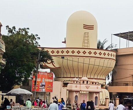 Eleven Jyotirlinga Tour ( God Shiva)