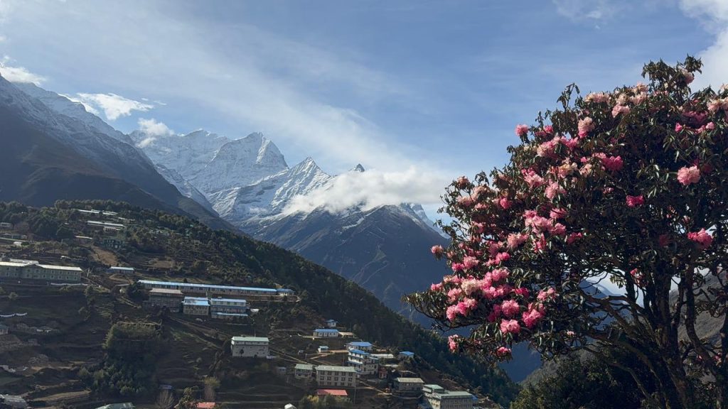 Makalu Base Camp Trek - 16 Days 2 Makalu Mountain view with blooming rhododendron flowers in the Himalayas of Nepal