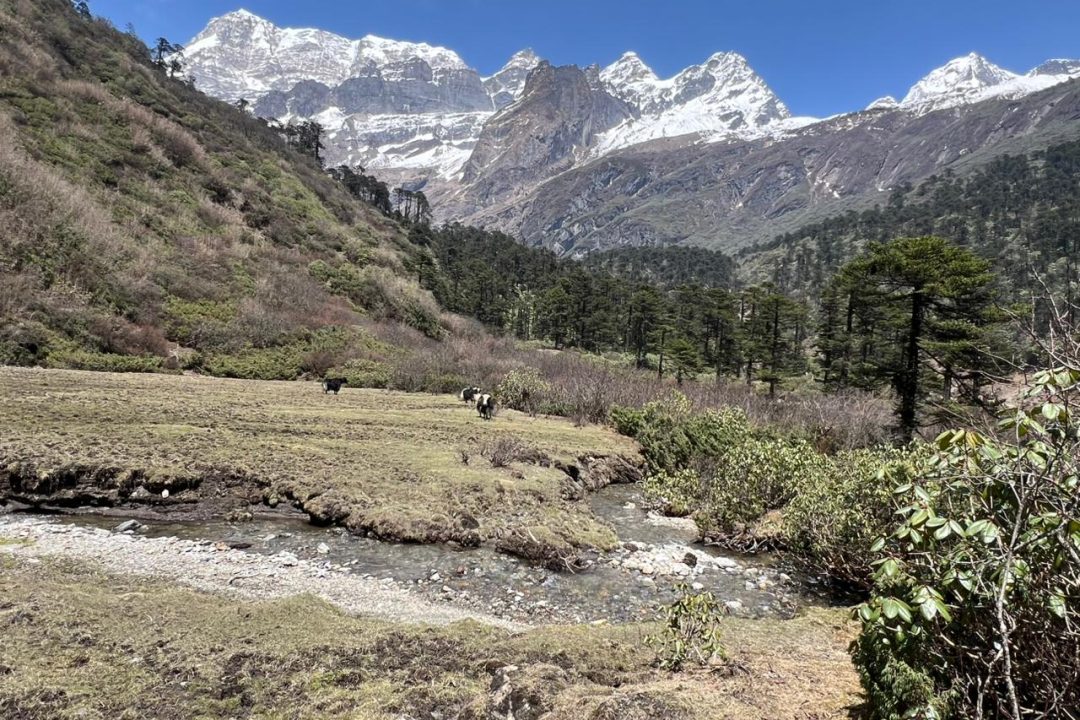Makalu with the Best Mountain View
