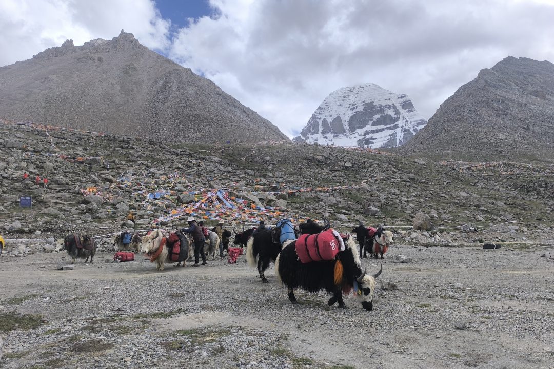 Derapuk – Kailasha Yatra