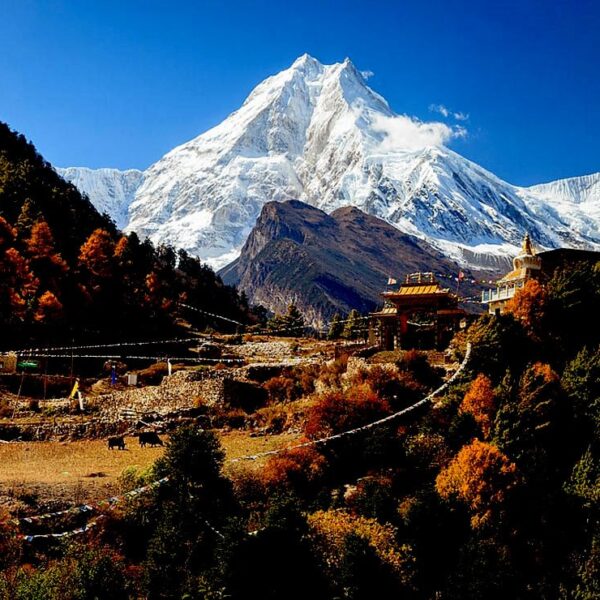 manaslu-mount