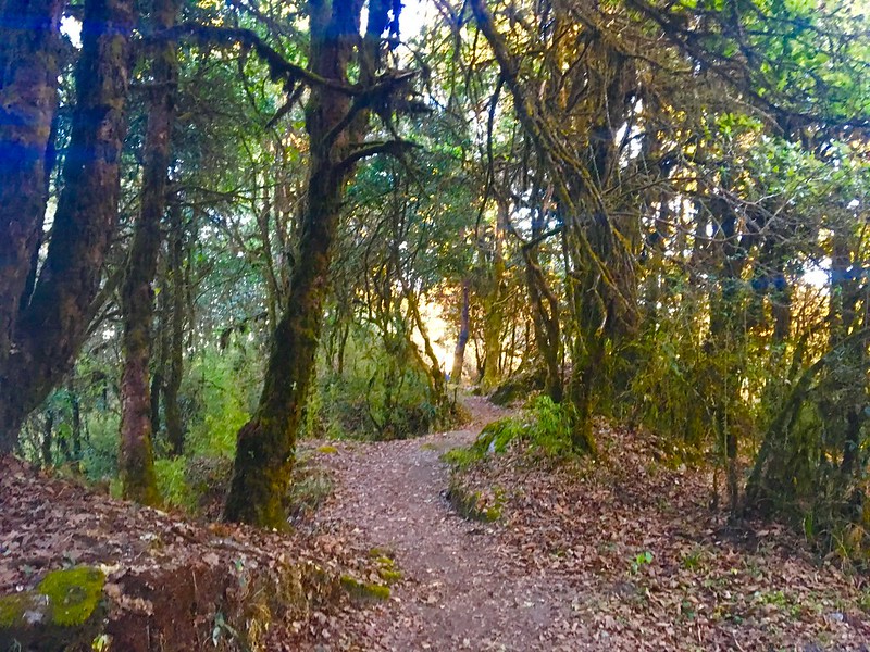 shivapuri national park