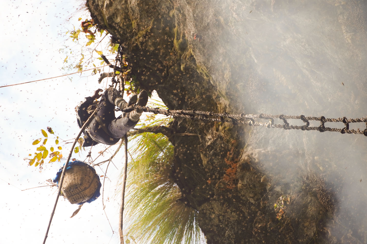 honey hunting in nepal