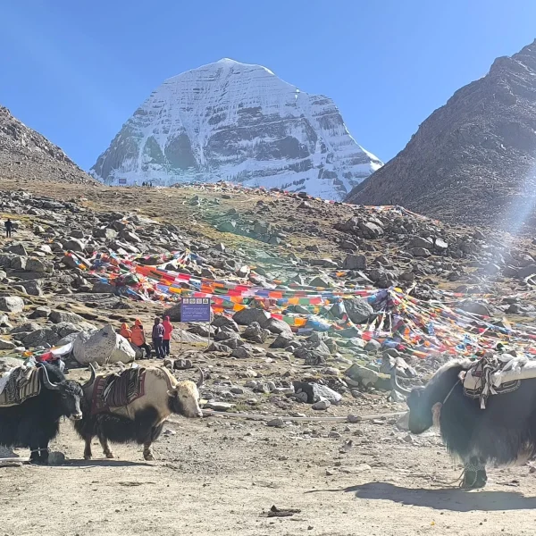 Kailash Mansarovar Yatra difficulty